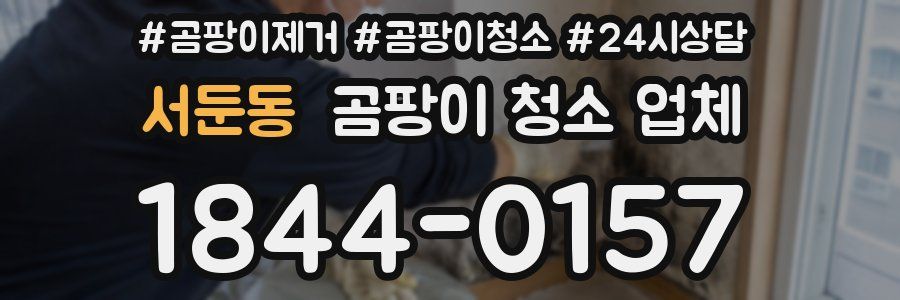 서둔동 곰팡이 청소 업체