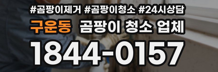 구운동 곰팡이 청소 업체