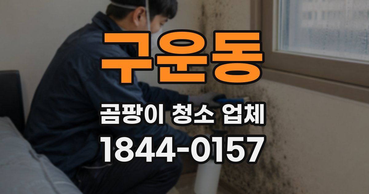 구운동 곰팡이 청소 업체