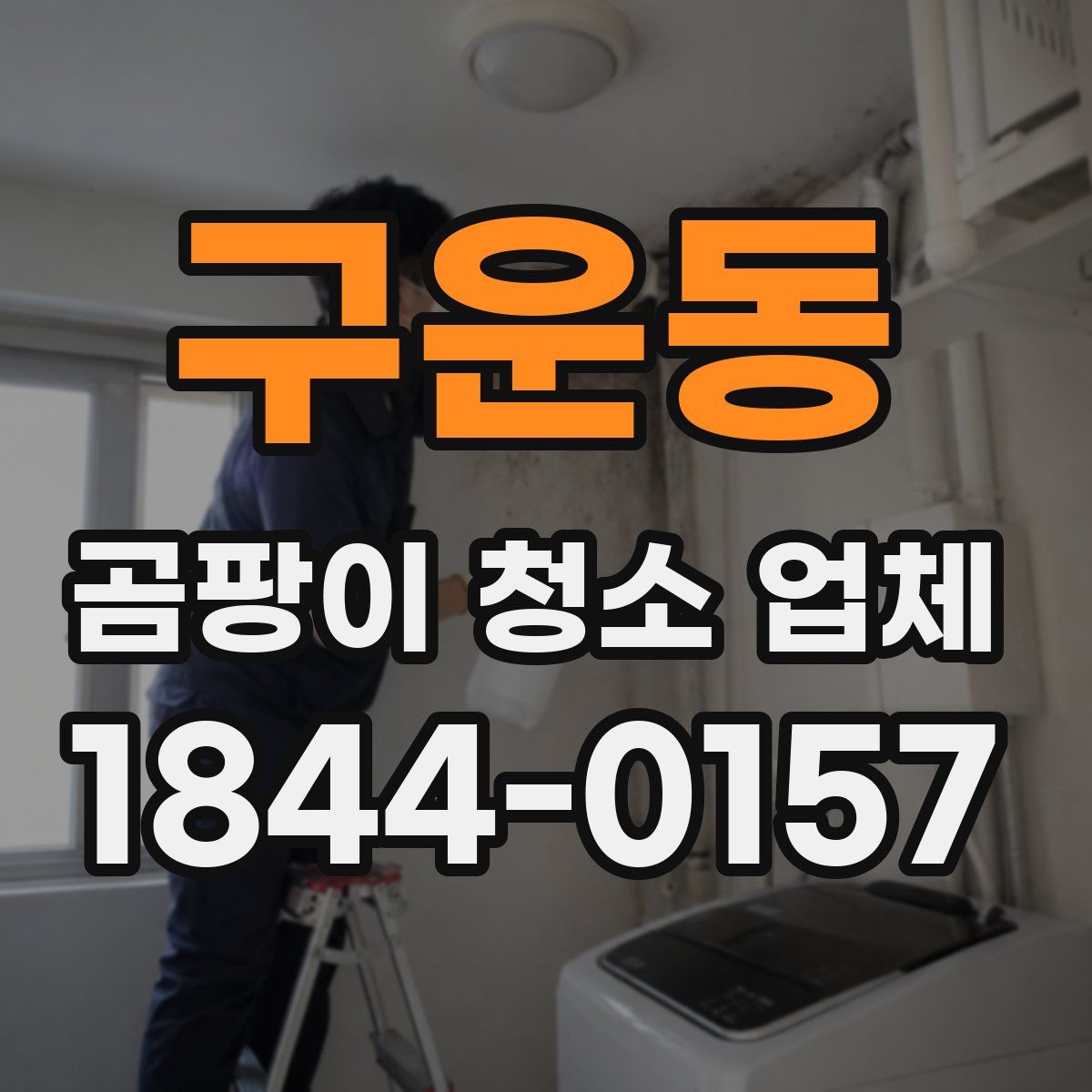 구운동 곰팡이 청소 업체