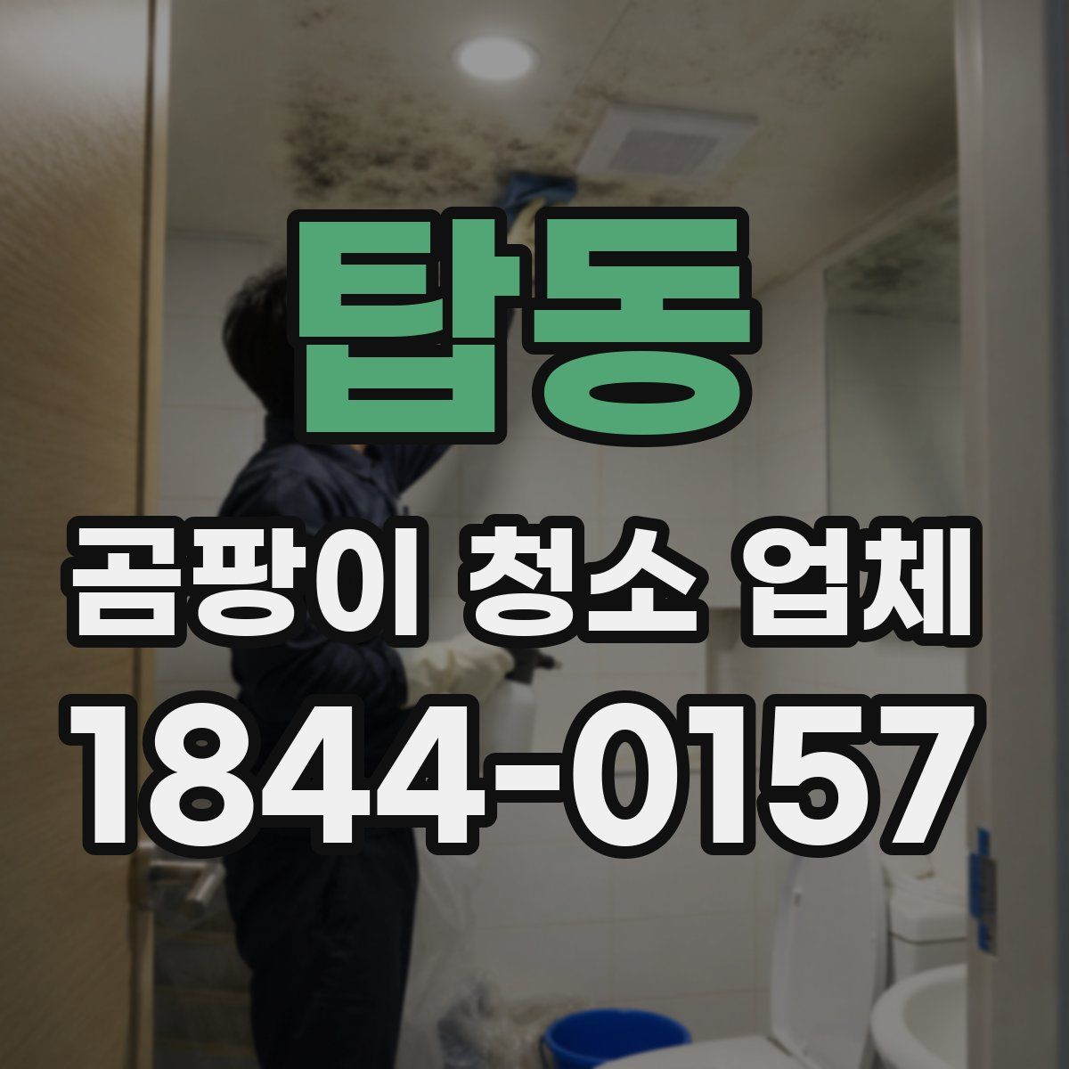 탑동 곰팡이 청소 업체