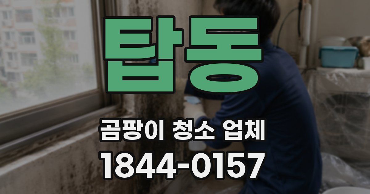 탑동 곰팡이 청소 업체