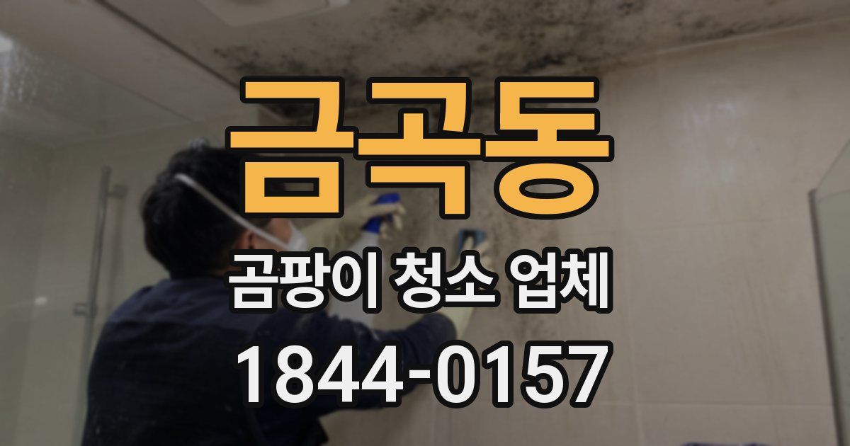 금곡동 곰팡이 청소 업체