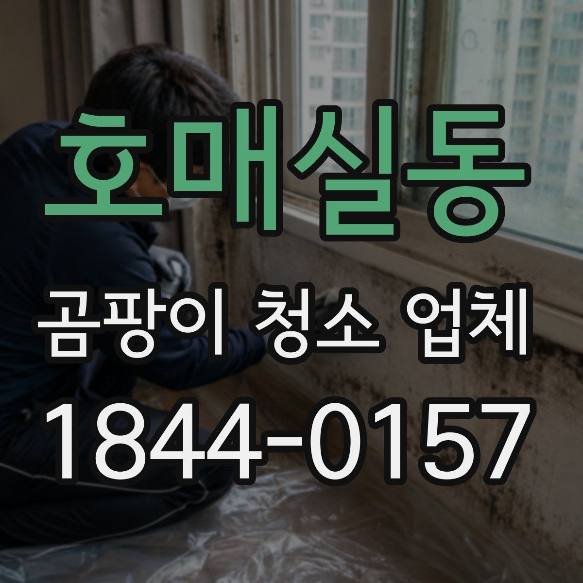 호매실동 곰팡이 청소 업체 살균과 냄새 제거를 구분해 봐야 하는 이유