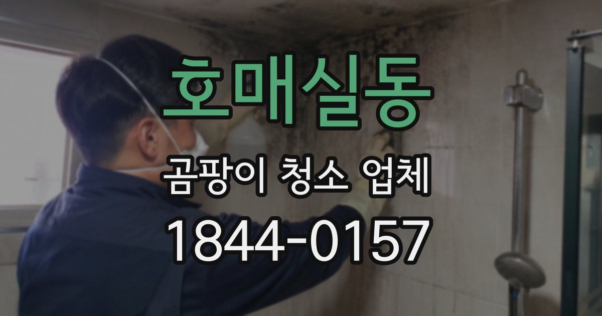 호매실동 곰팡이 청소 업체