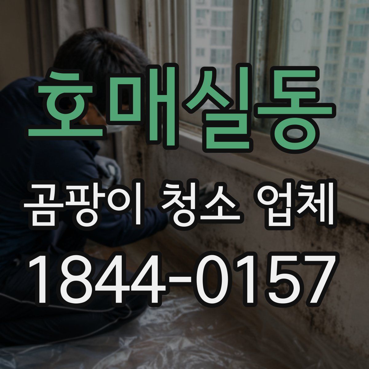호매실동 곰팡이 청소 업체