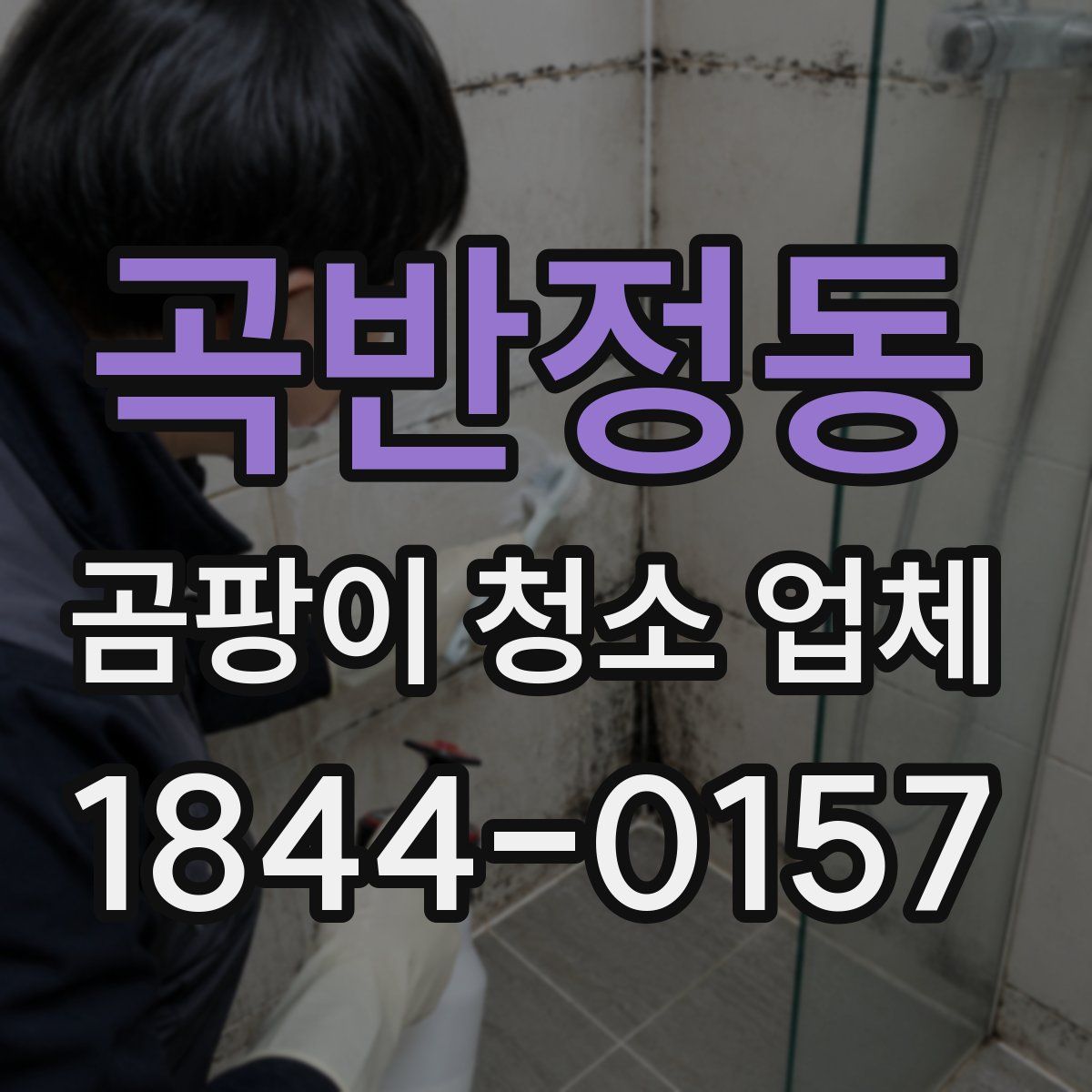 곡반정동 곰팡이 청소 업체