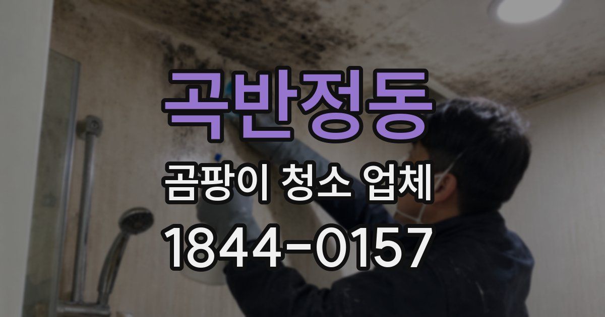 곡반정동 곰팡이 청소 업체