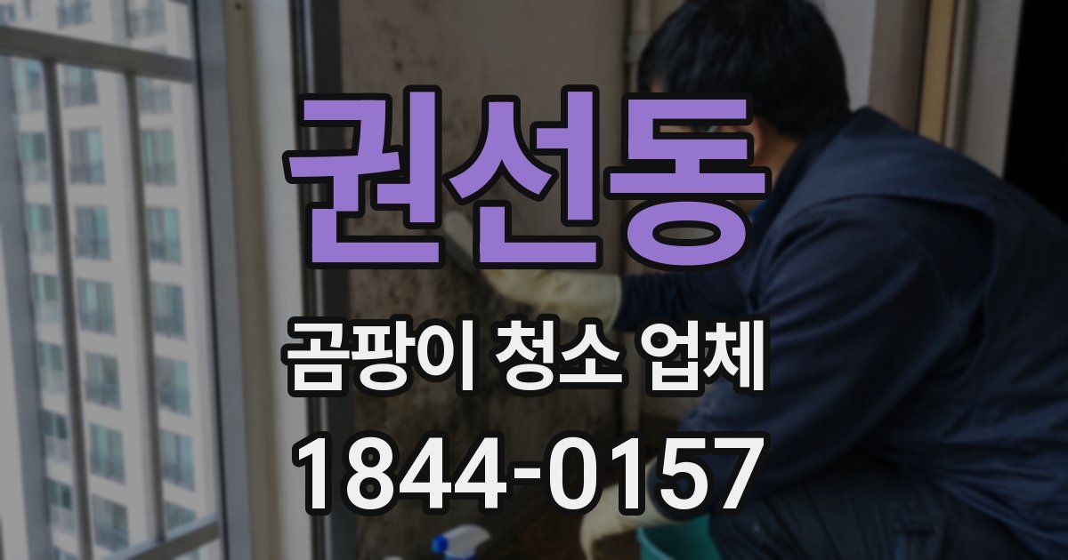 권선동 곰팡이 청소 업체