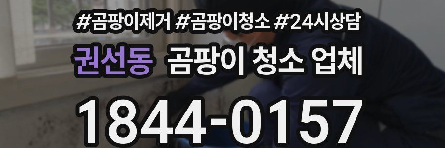 권선동 곰팡이 청소 업체