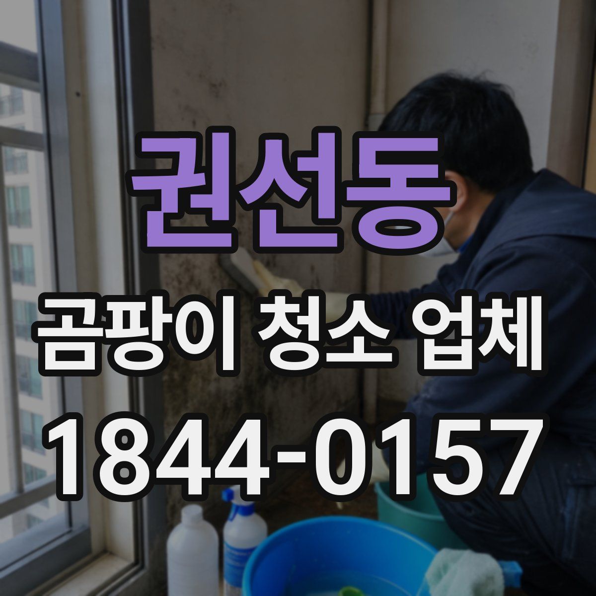 권선동 곰팡이 청소 업체