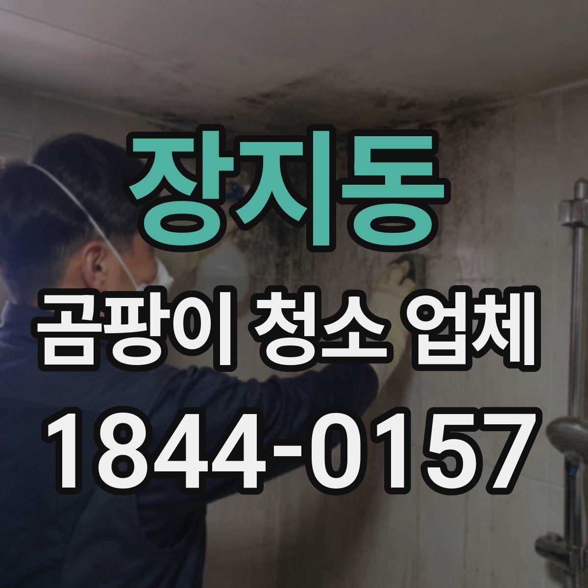 장지동 곰팡이 청소 업체