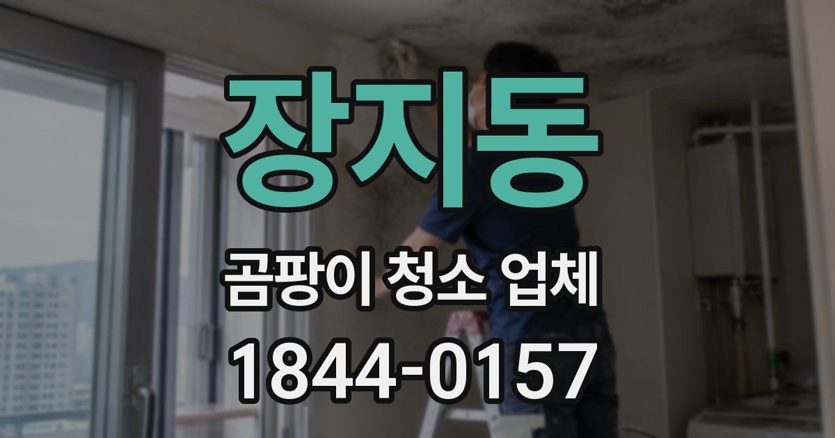 장지동 곰팡이 청소 업체
