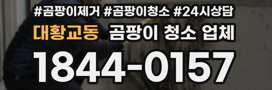 대황교동 곰팡이 청소 업체
