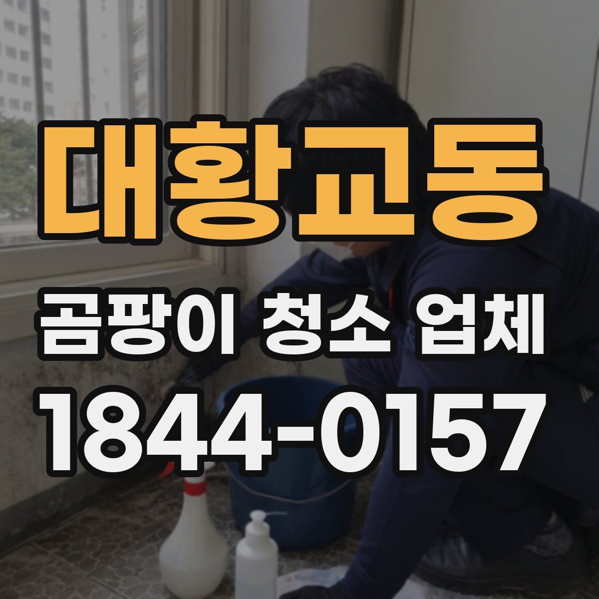 대황교동 곰팡이 청소 업체