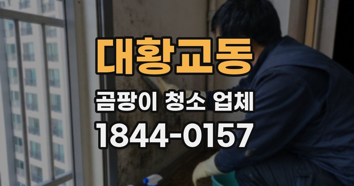 대황교동 곰팡이 청소 업체