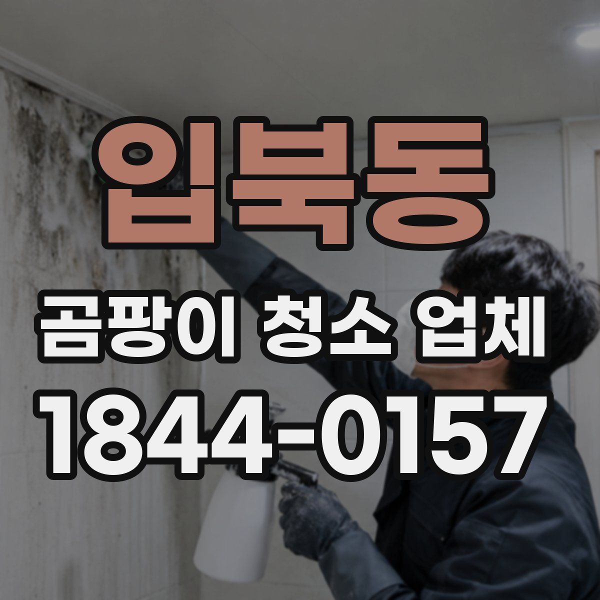 입북동 곰팡이 청소 업체