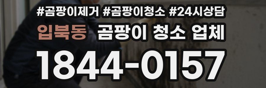 입북동 곰팡이 청소 업체