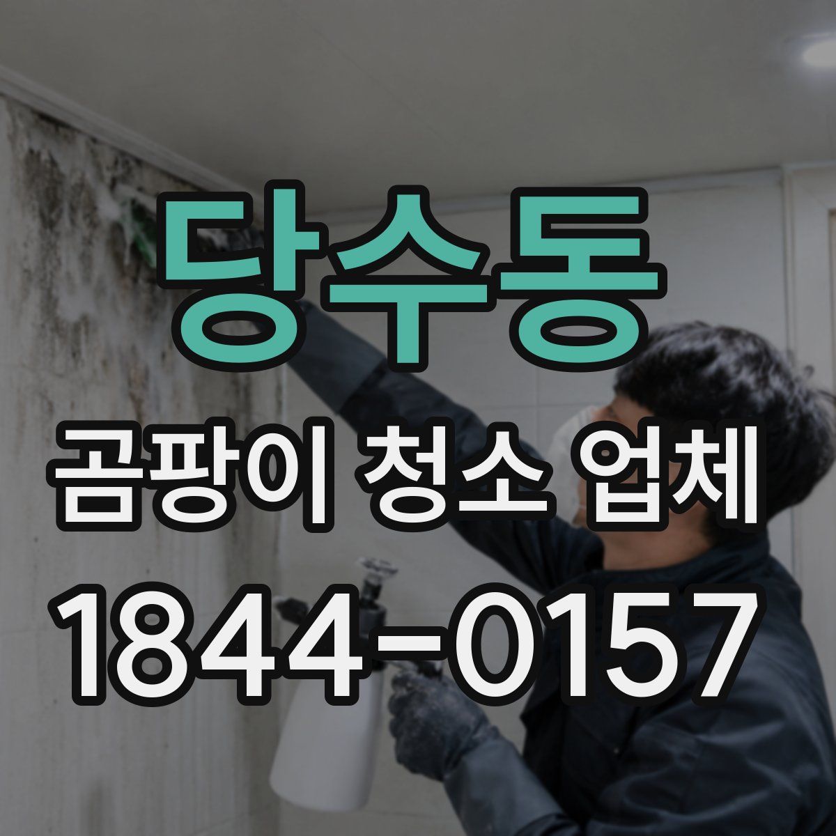 당수동 곰팡이 청소 업체