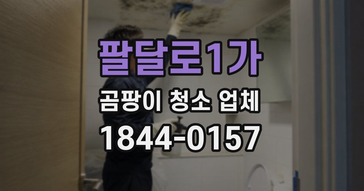 팔달로1가 곰팡이 청소 업체