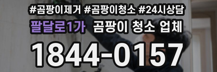 팔달로1가 곰팡이 청소 업체