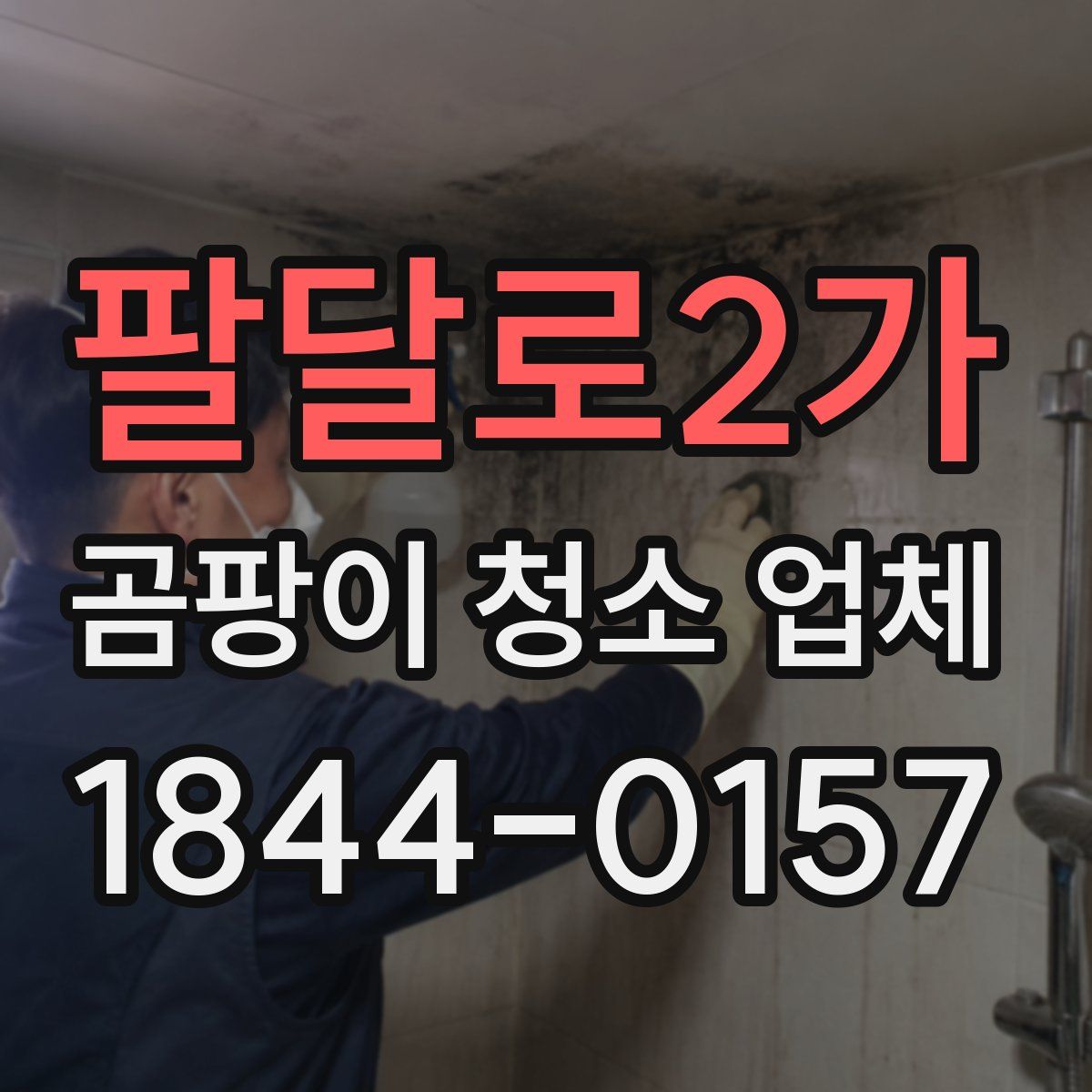 팔달로2가 곰팡이 청소 업체