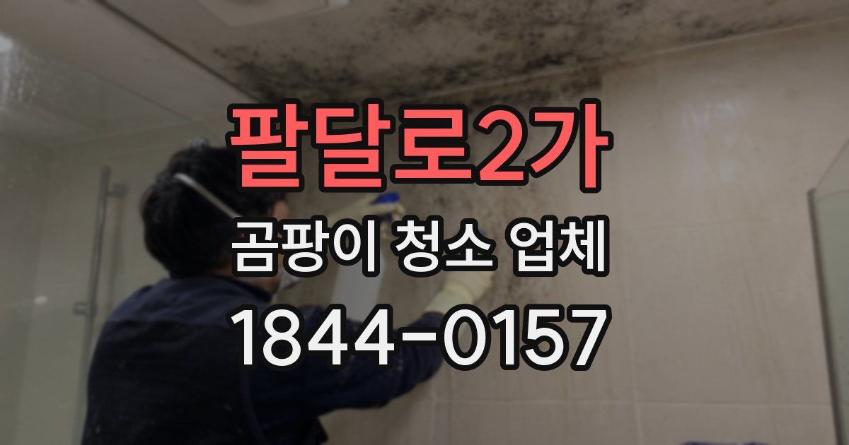 팔달로2가 곰팡이 청소 업체