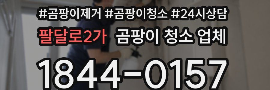 팔달로2가 곰팡이 청소 업체