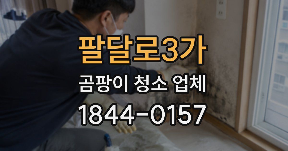 팔달로3가 곰팡이 청소 업체