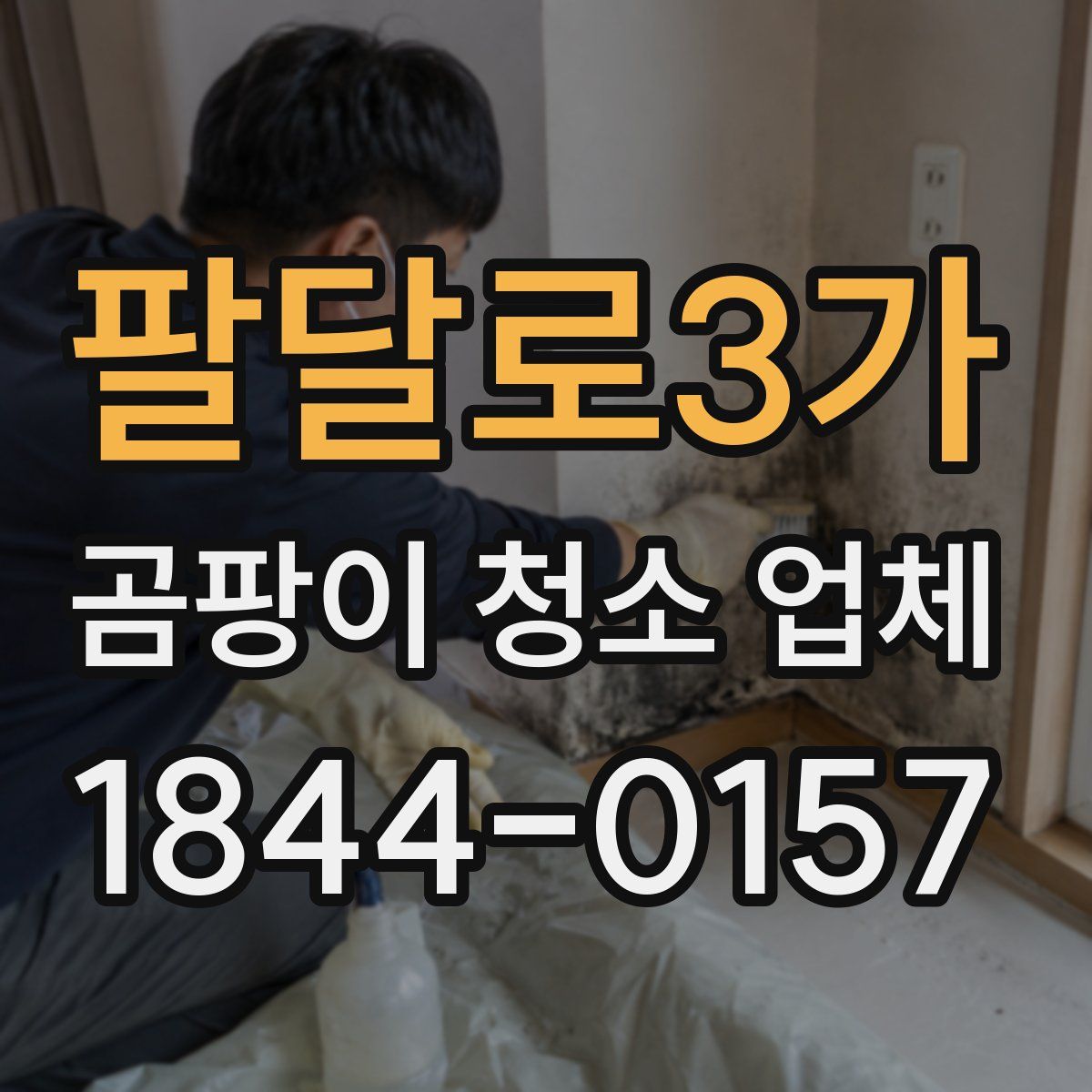 팔달로3가 곰팡이 청소 업체