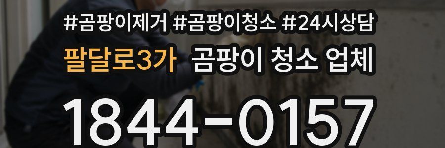 팔달로3가 곰팡이 청소 업체