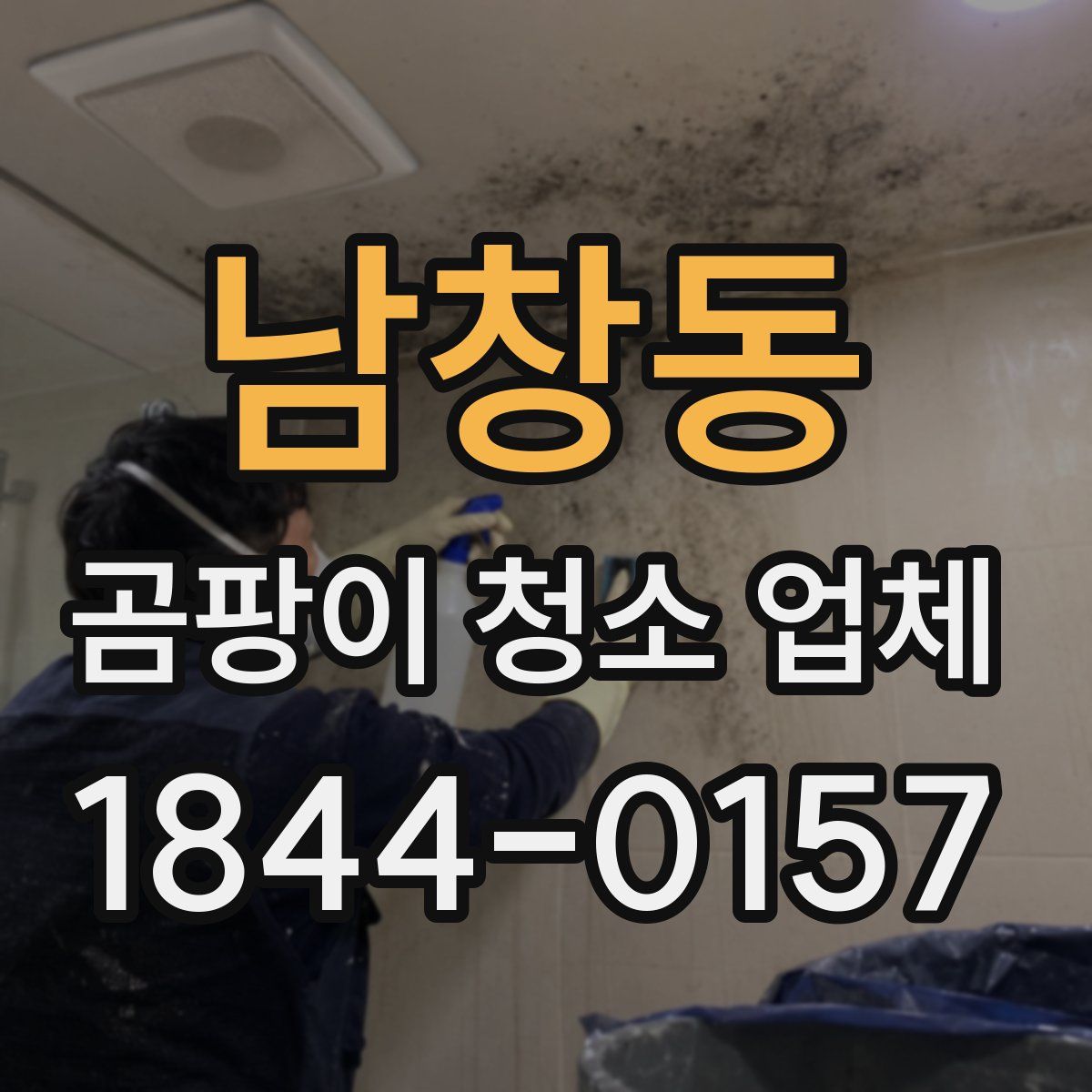 남창동 곰팡이 청소 업체
