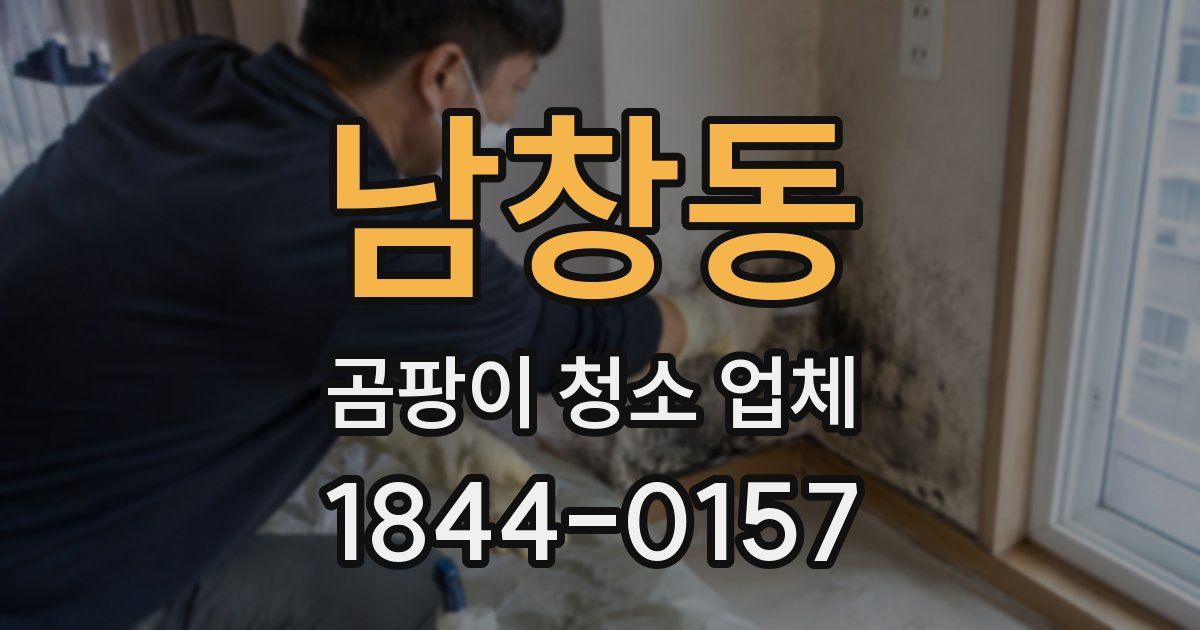 남창동 곰팡이 청소 업체