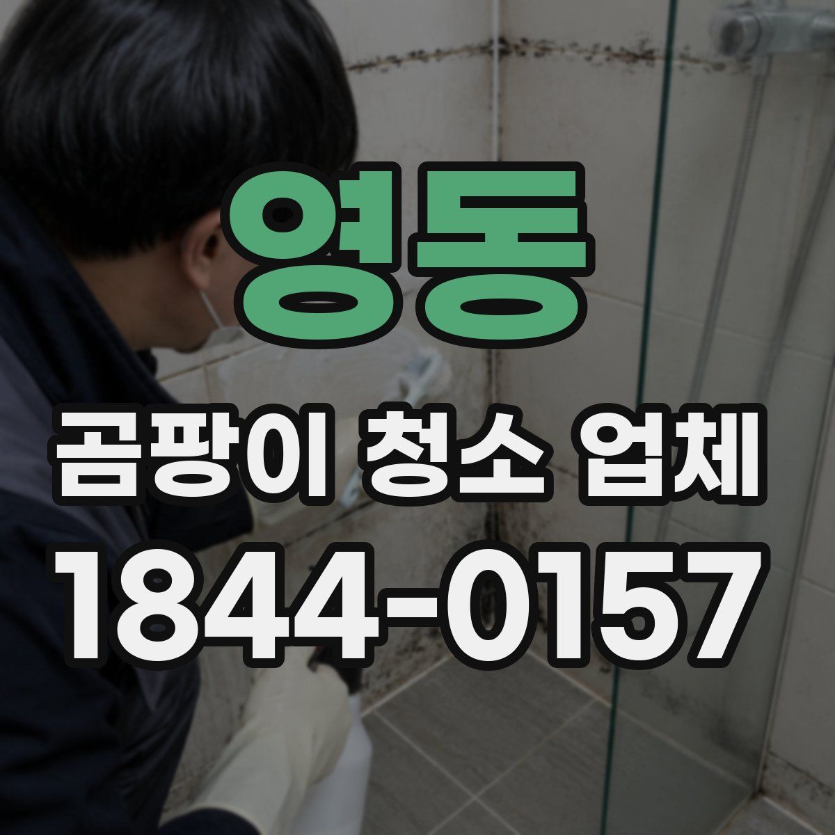 영동 곰팡이 청소 업체