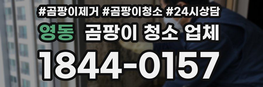 영동 곰팡이 청소 업체