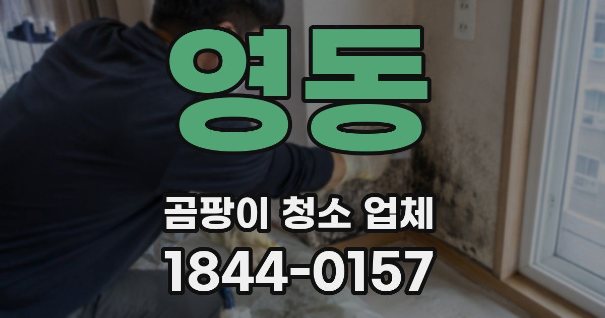 영동 곰팡이 청소 업체