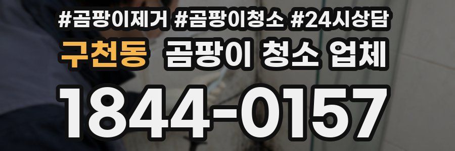 구천동 곰팡이 청소 업체
