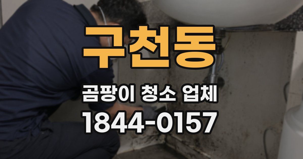 구천동 곰팡이 청소 업체