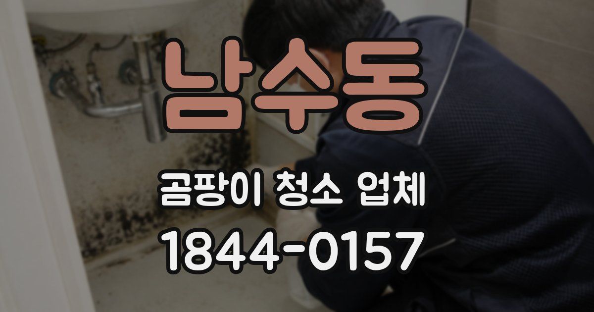 남수동 곰팡이 청소 업체