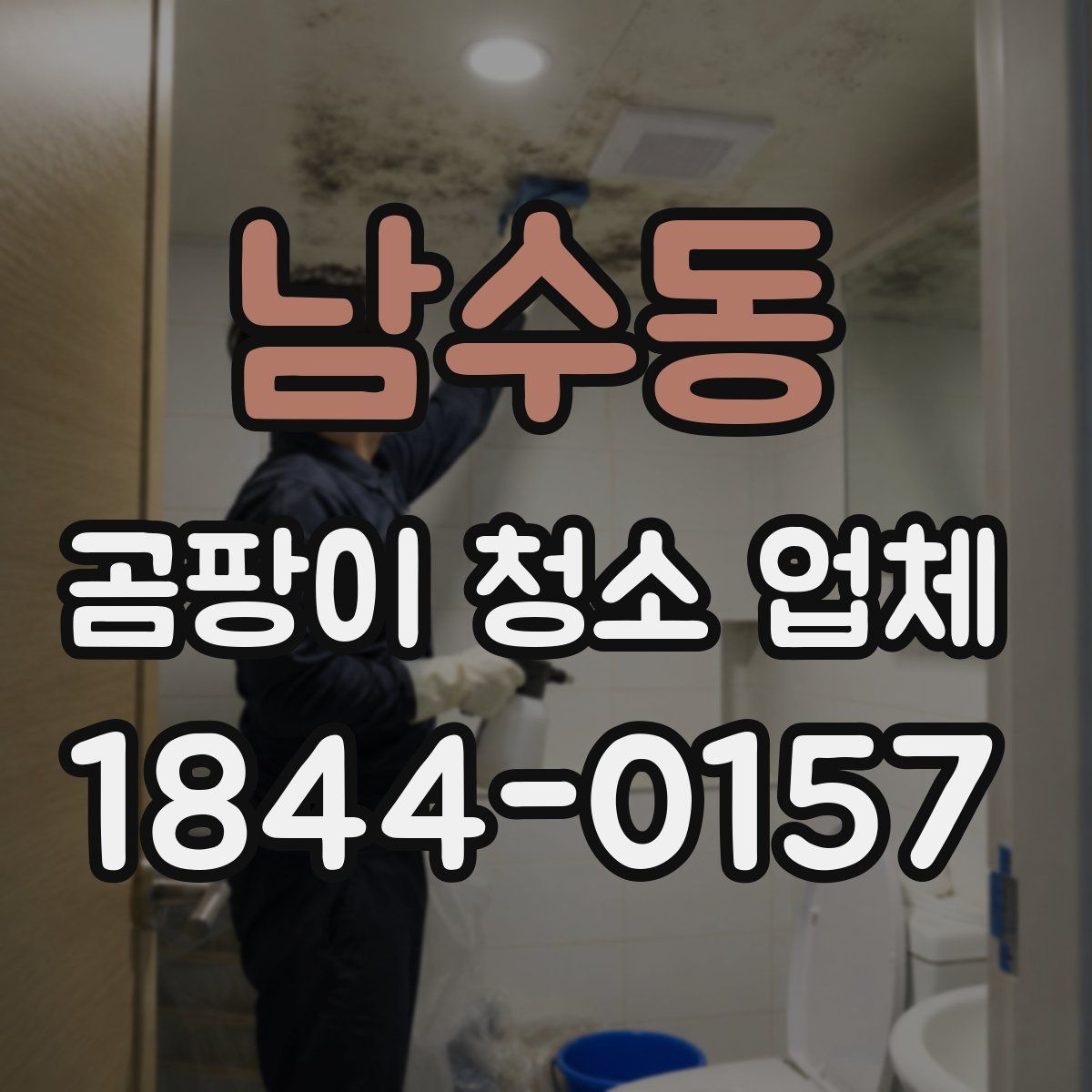 남수동 곰팡이 청소 업체