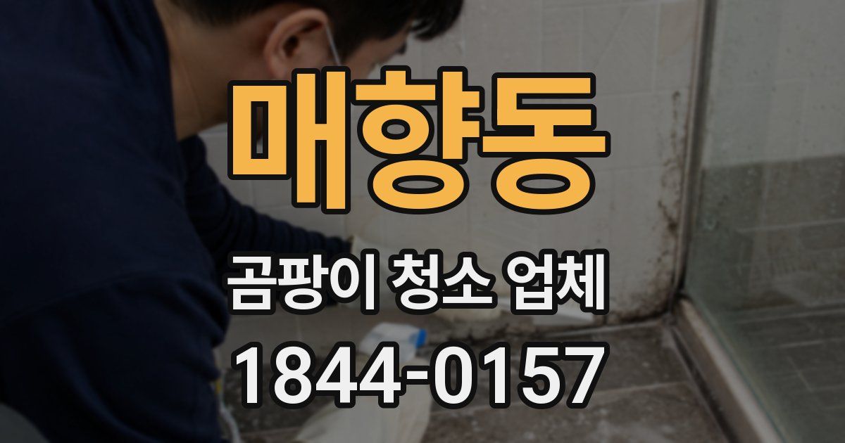 매향동 곰팡이 청소 업체