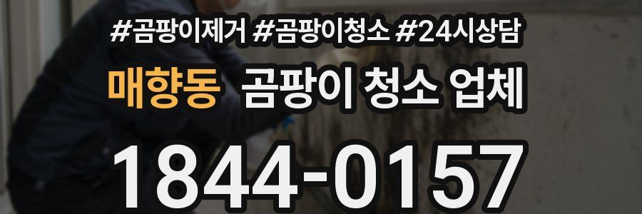 매향동 곰팡이 청소 업체
