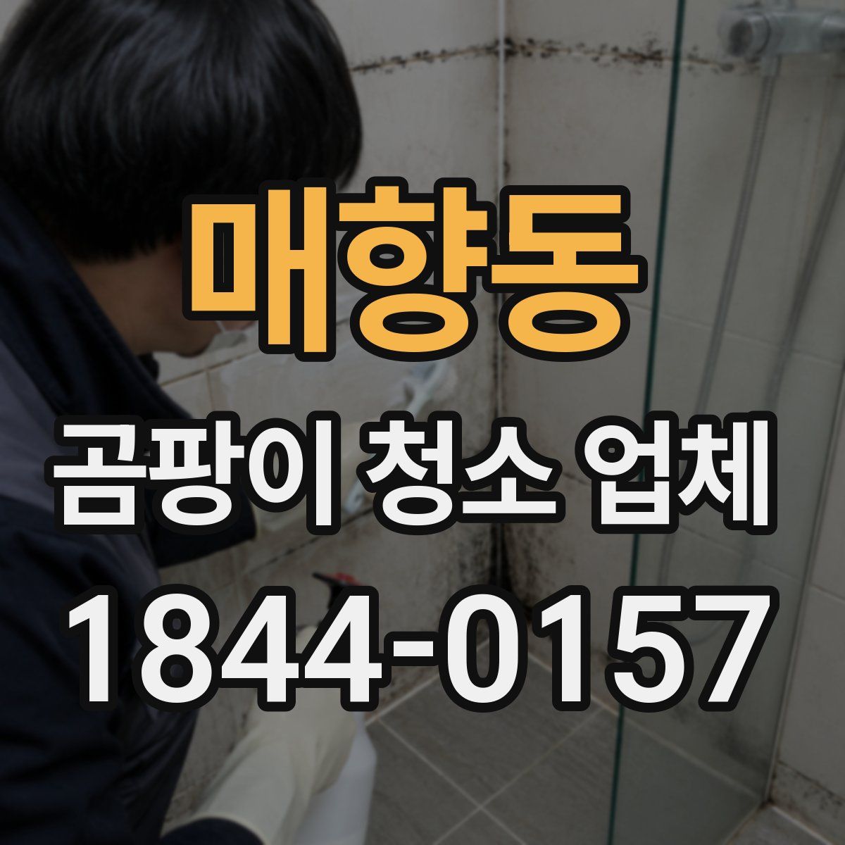 매향동 곰팡이 청소 업체