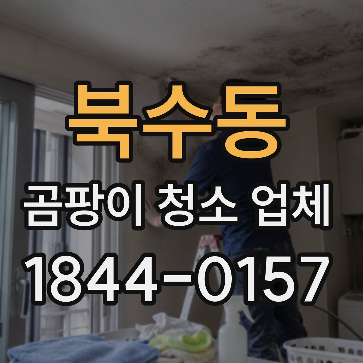 북수동 곰팡이 청소 업체