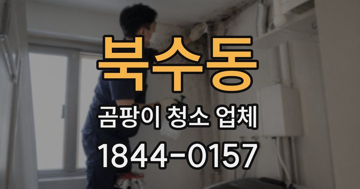 북수동 곰팡이 청소 업체