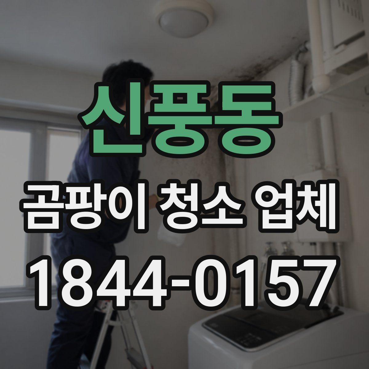 신풍동 곰팡이 청소 업체 숨은 곰팡이 확인이 필요한 집의 특징