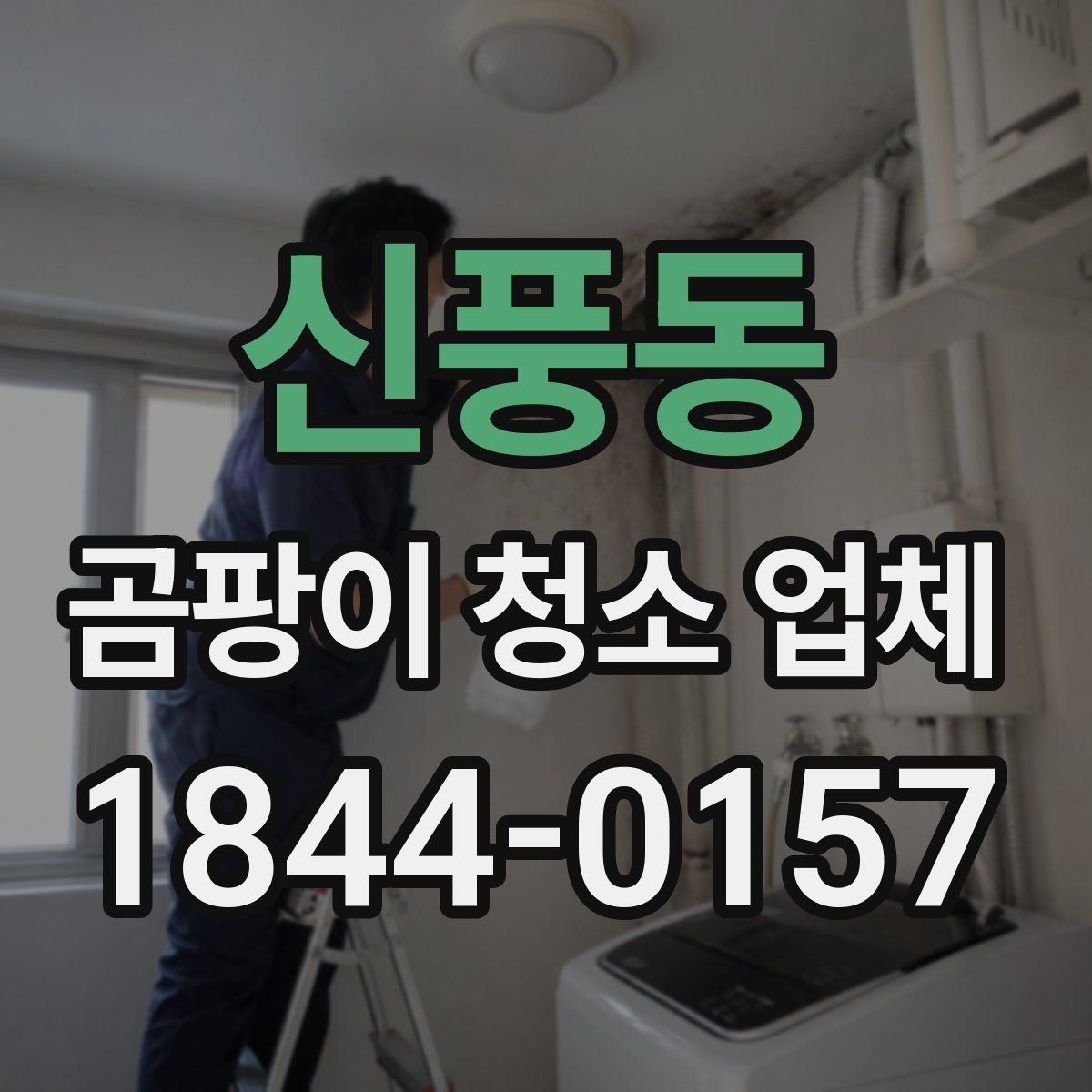 신풍동 곰팡이 청소 업체