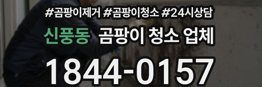 신풍동 곰팡이 청소 업체