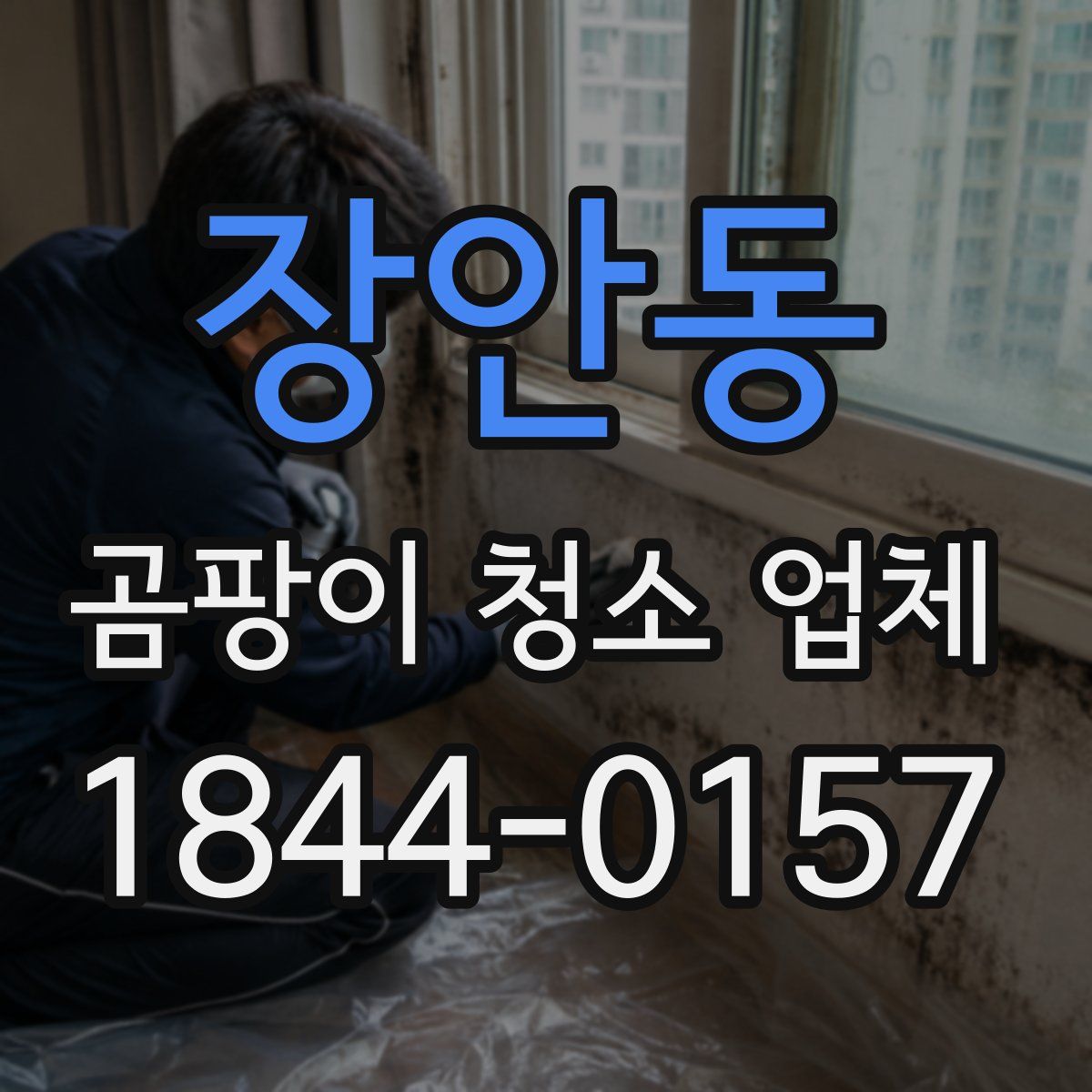 장안동 곰팡이 청소 업체