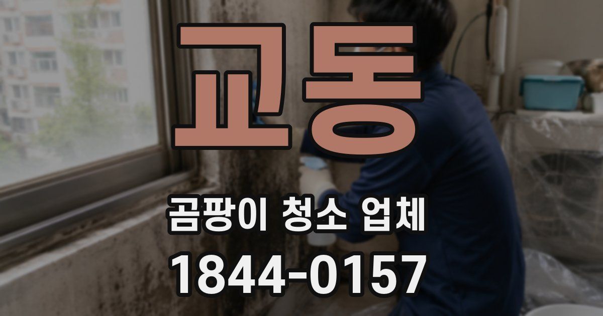 교동 곰팡이 청소 업체